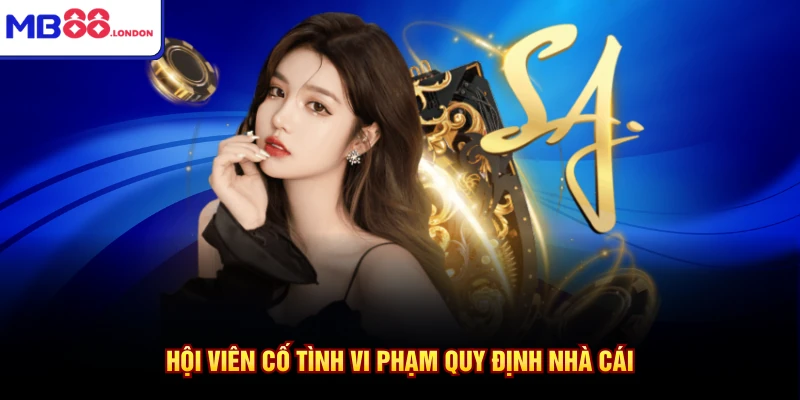 Hội viên cố tình vi phạm quy định nhà cái